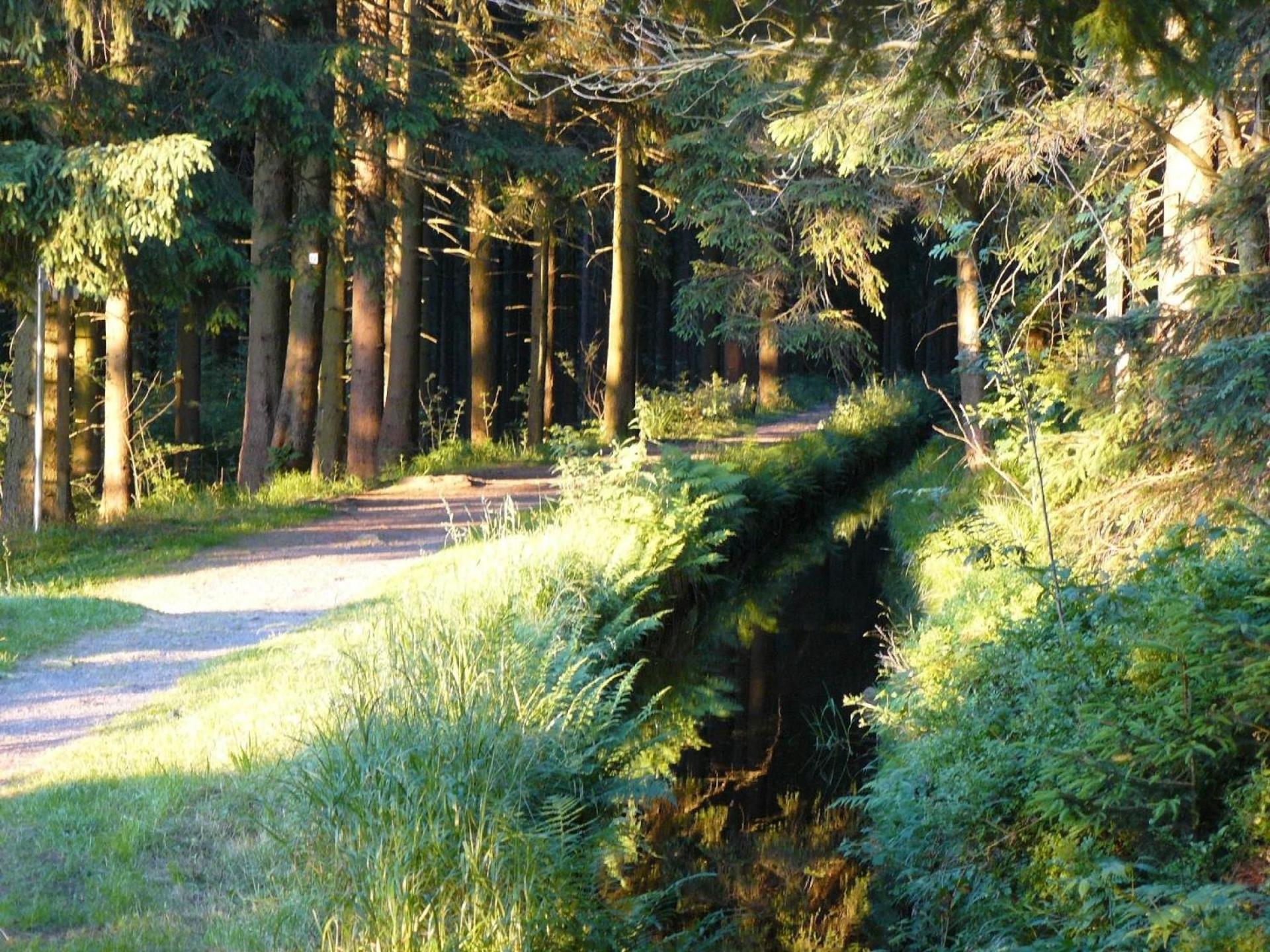 Ferienwohnung Fuer 2 Personen Ca 31 Qm In Altenau, Harz Oberharz Altenau  Luaran gambar